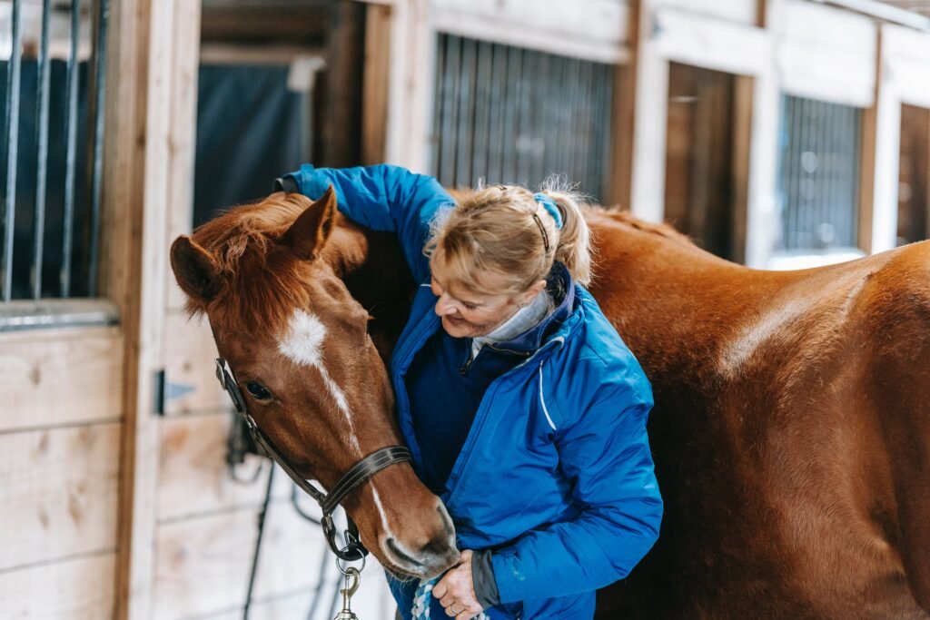 How To Start A Horse Boarding Business