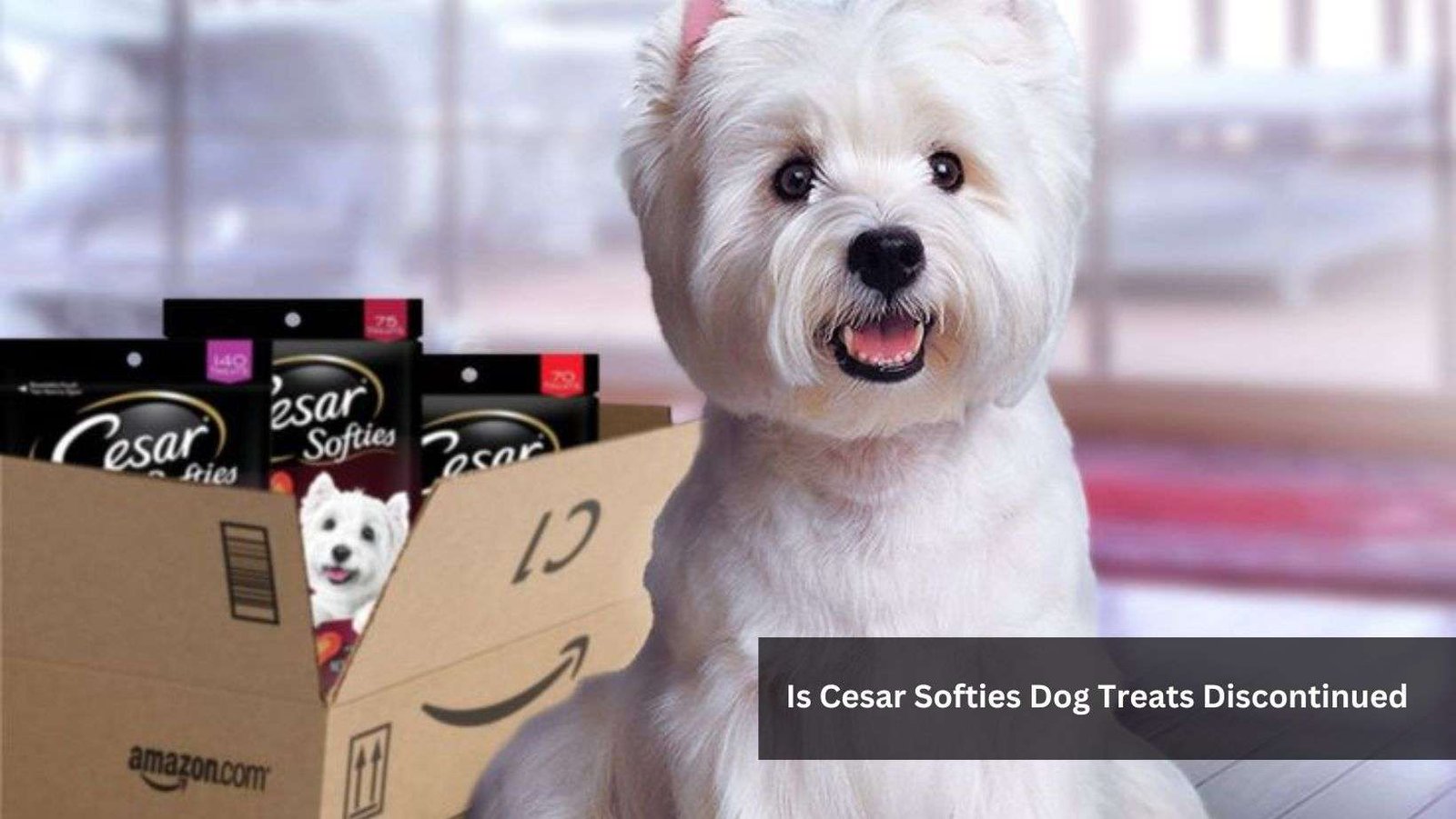 Is Cesar Softies Dog Treats Discontinued