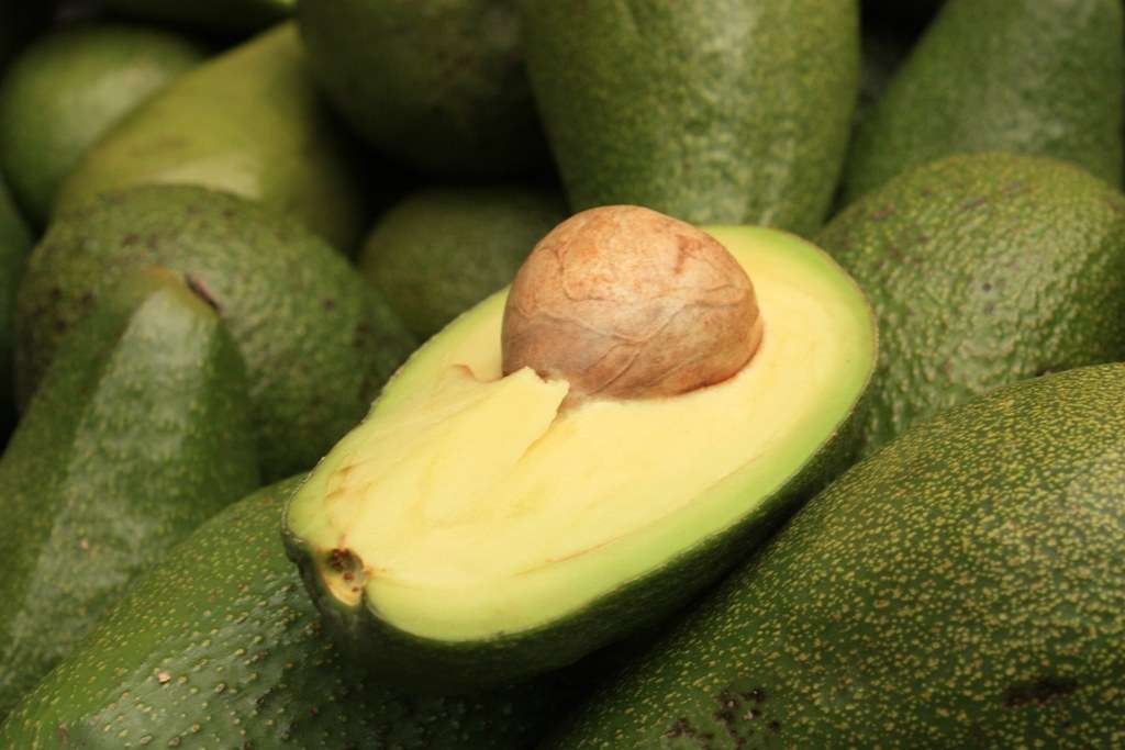 Avocado Shortage