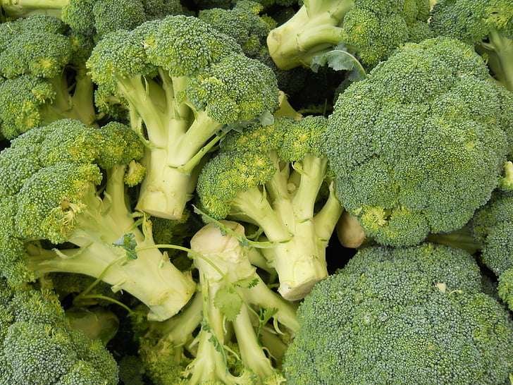 Broccoli Shortage